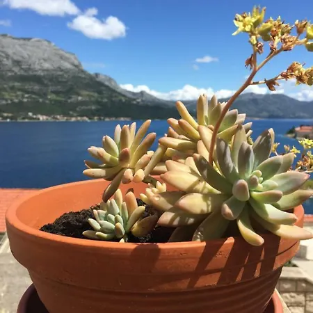 Apartman Dari, Sea View, Parking, Near